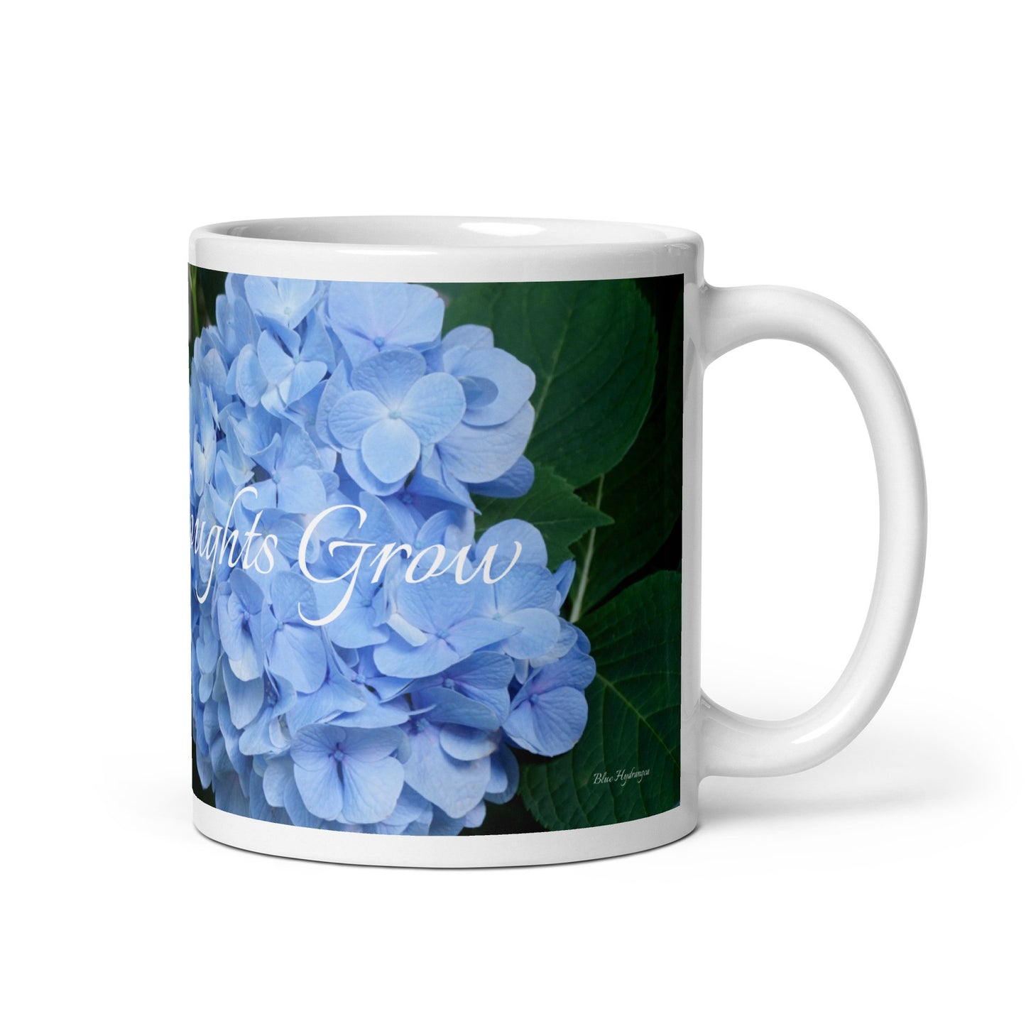 Blue Hydrangea_Let Good Thoughts Grow