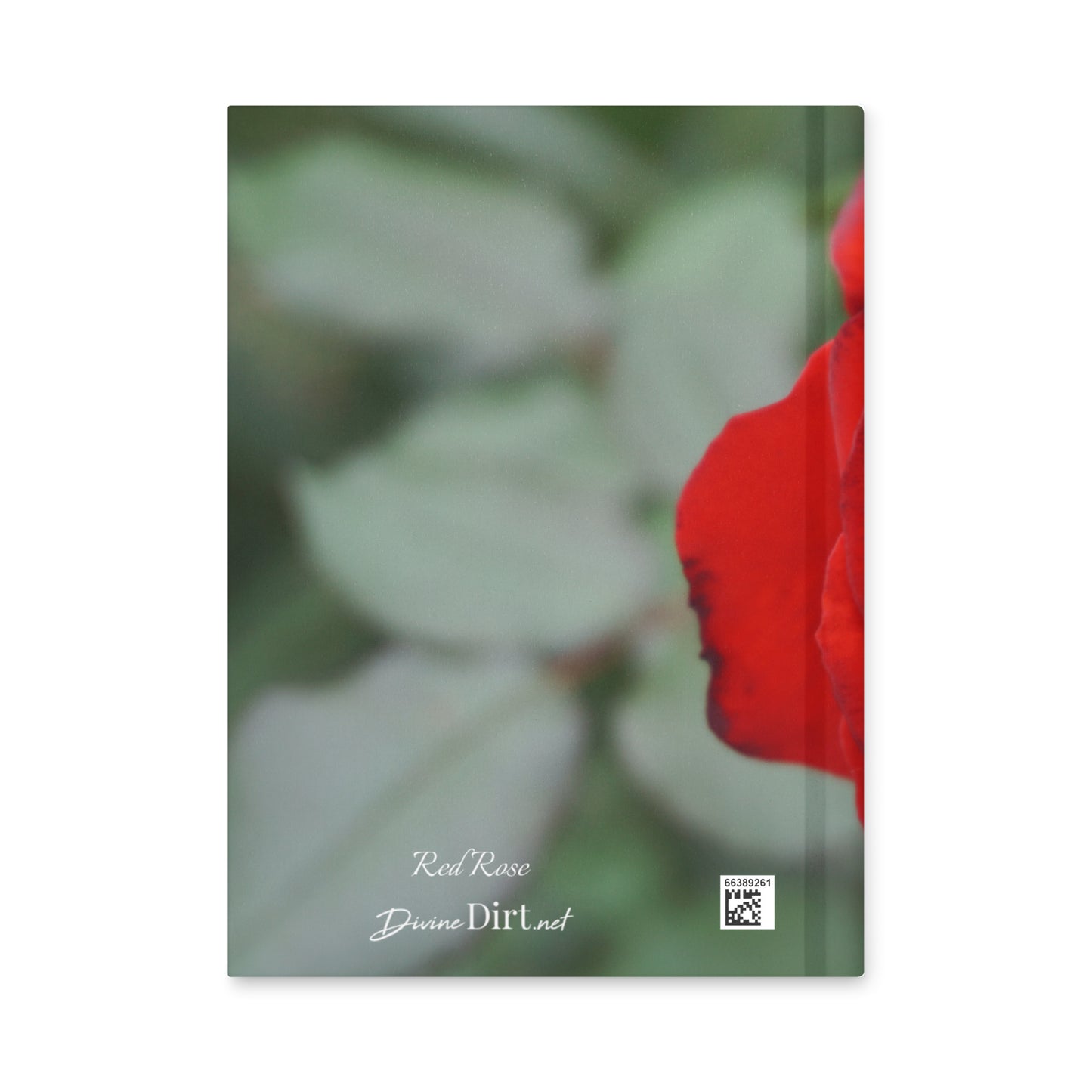 Let Good Thoughts Grow Journal