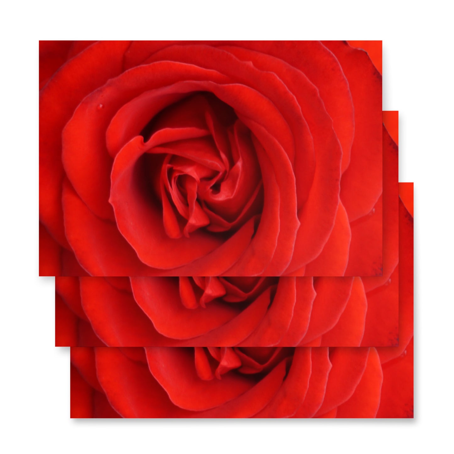 Red Rose Wrapping paper sheets