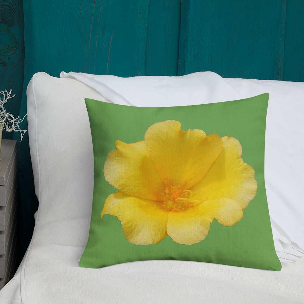 Yellow Portulaca