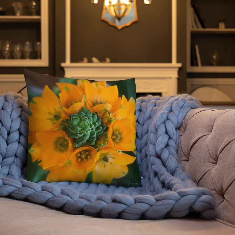 Orange Star Premium Pillow with Orange back