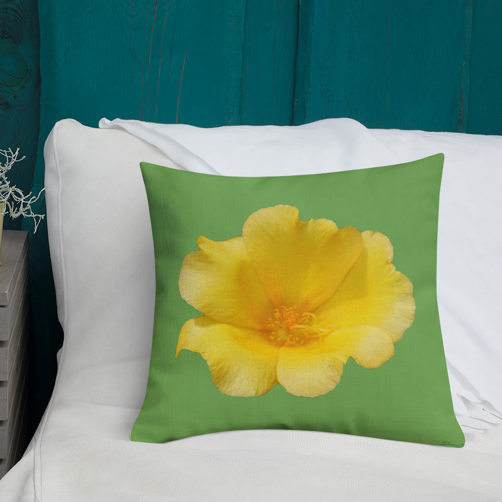 Yellow Portulaca
