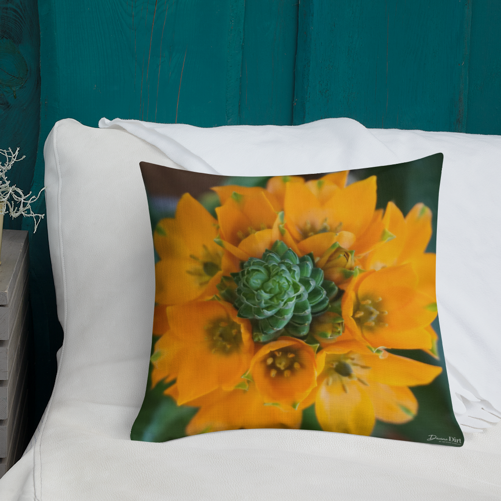 Orange Star Premium Pillow with Orange back