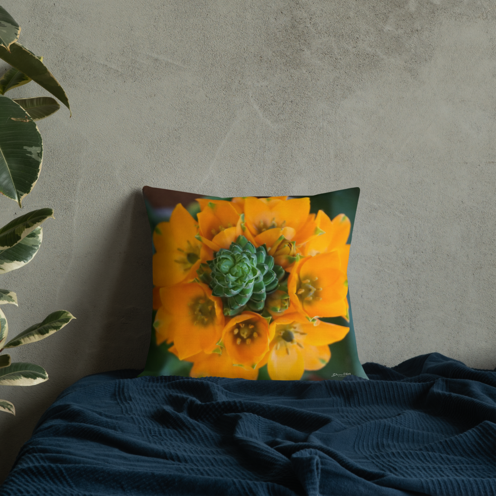 Orange Star Premium Pillow with Orange back