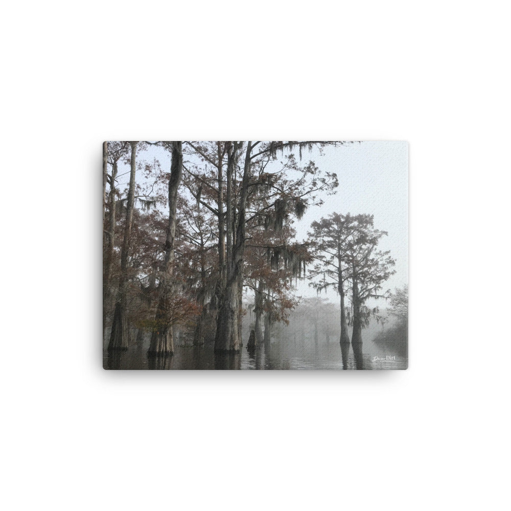 Foggy Morning on the Atchafalaya. 12x16 Print on Canvas