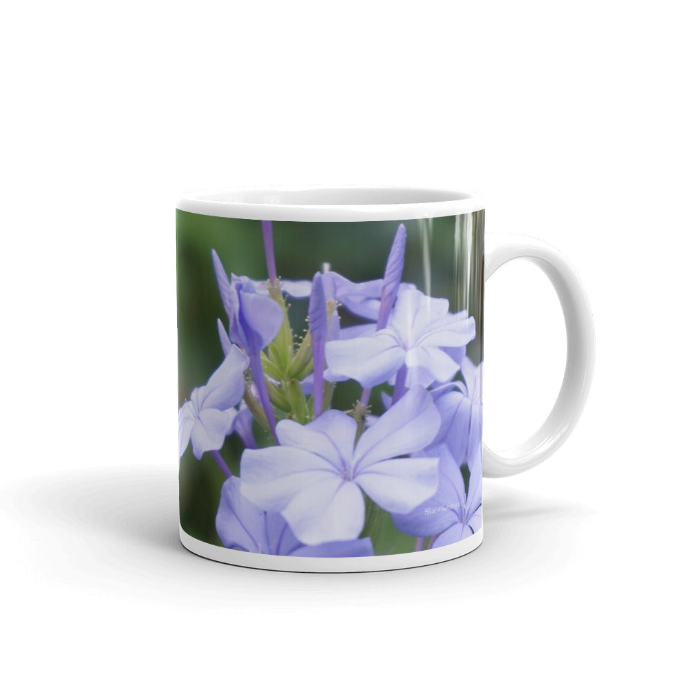 Blue Plumbago “Beneath all worry is a profound sense of peace”