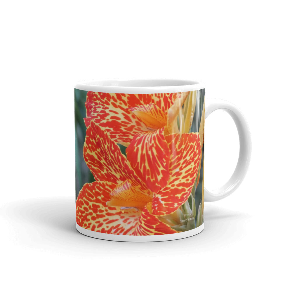 Orange Dwarf Canna-Picasso without a message