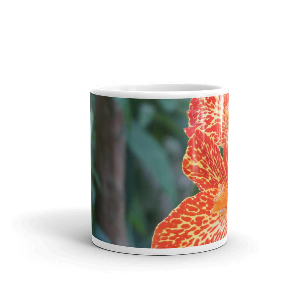 Dwarf Canna-Picasso "You state what is true for you, not your past"