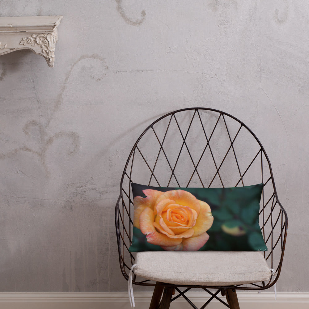 Orange Delight Rose Premium Pillow