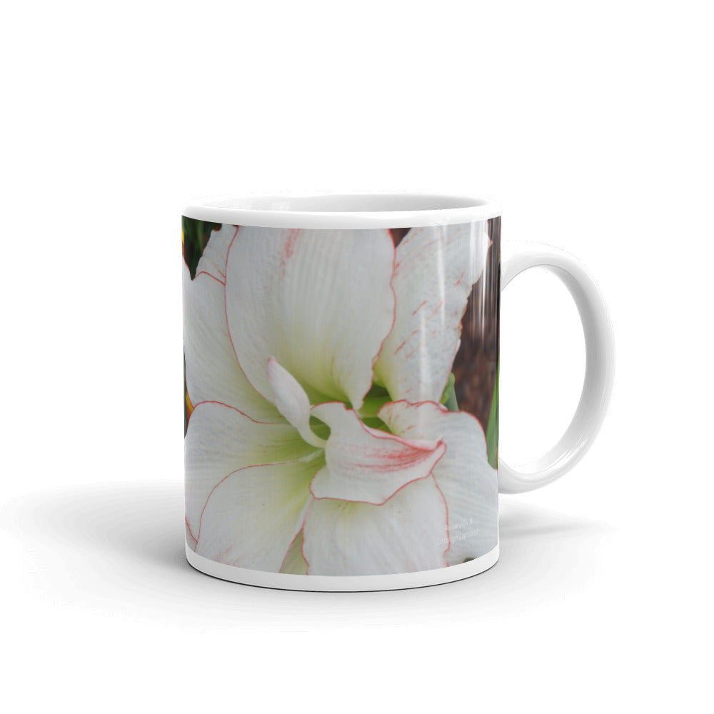 White Amaryllis with orange lantana without a message