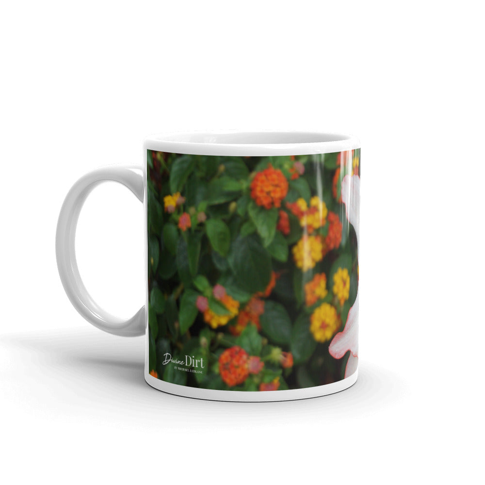 White Amaryllis with orange lantana without a message