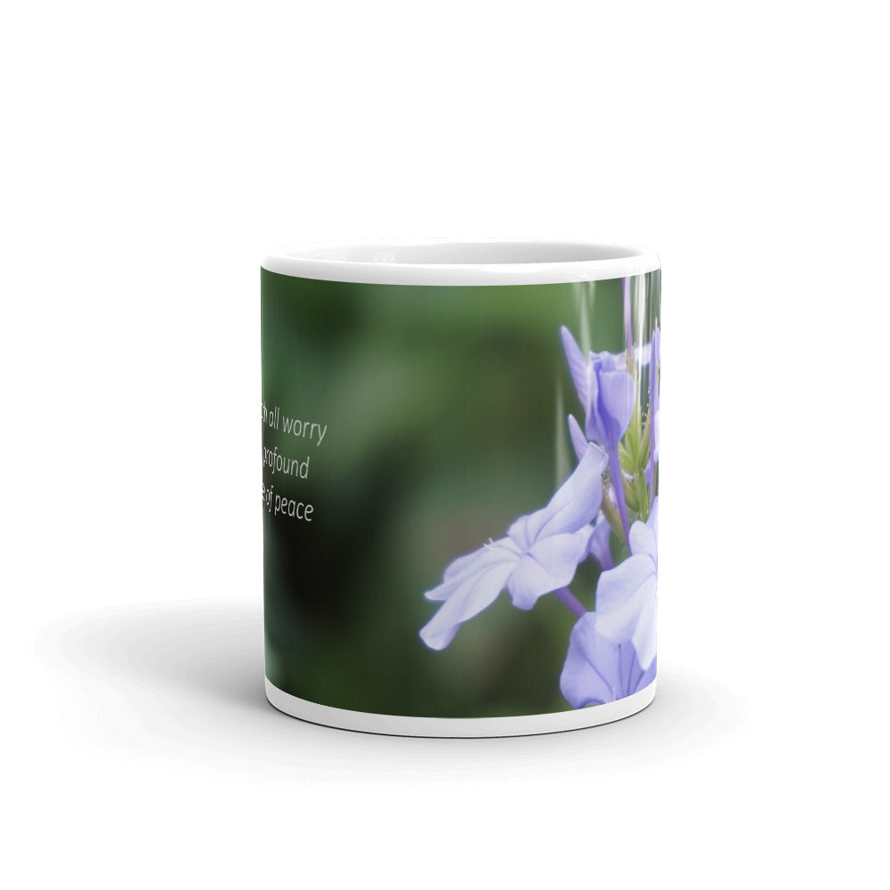 Blue Plumbago “Beneath all worry is a profound sense of peace”