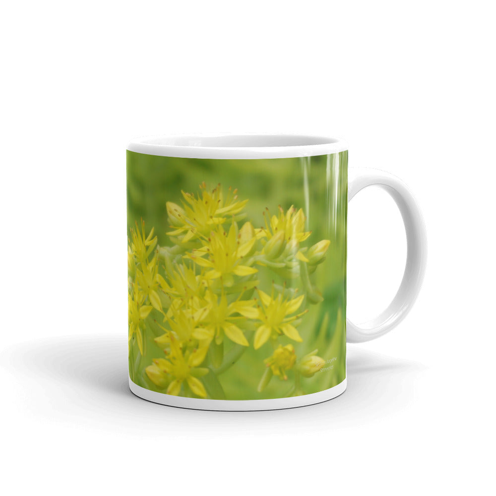 Lime Green Sedum without a message