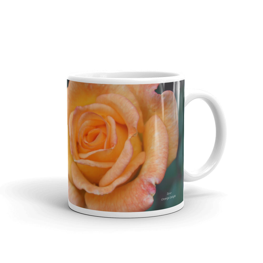 Orange Delight Rose. "Breathe and take your next step"