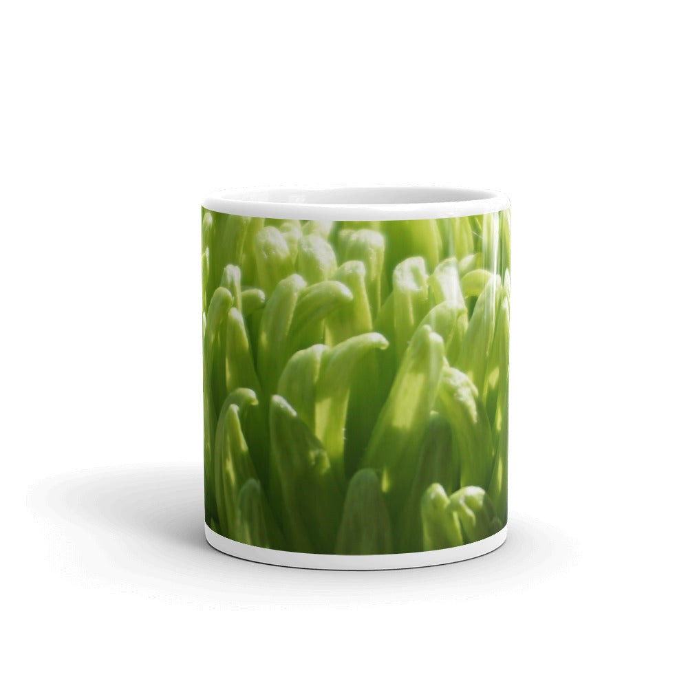 Green Chrysanthemum-without a message