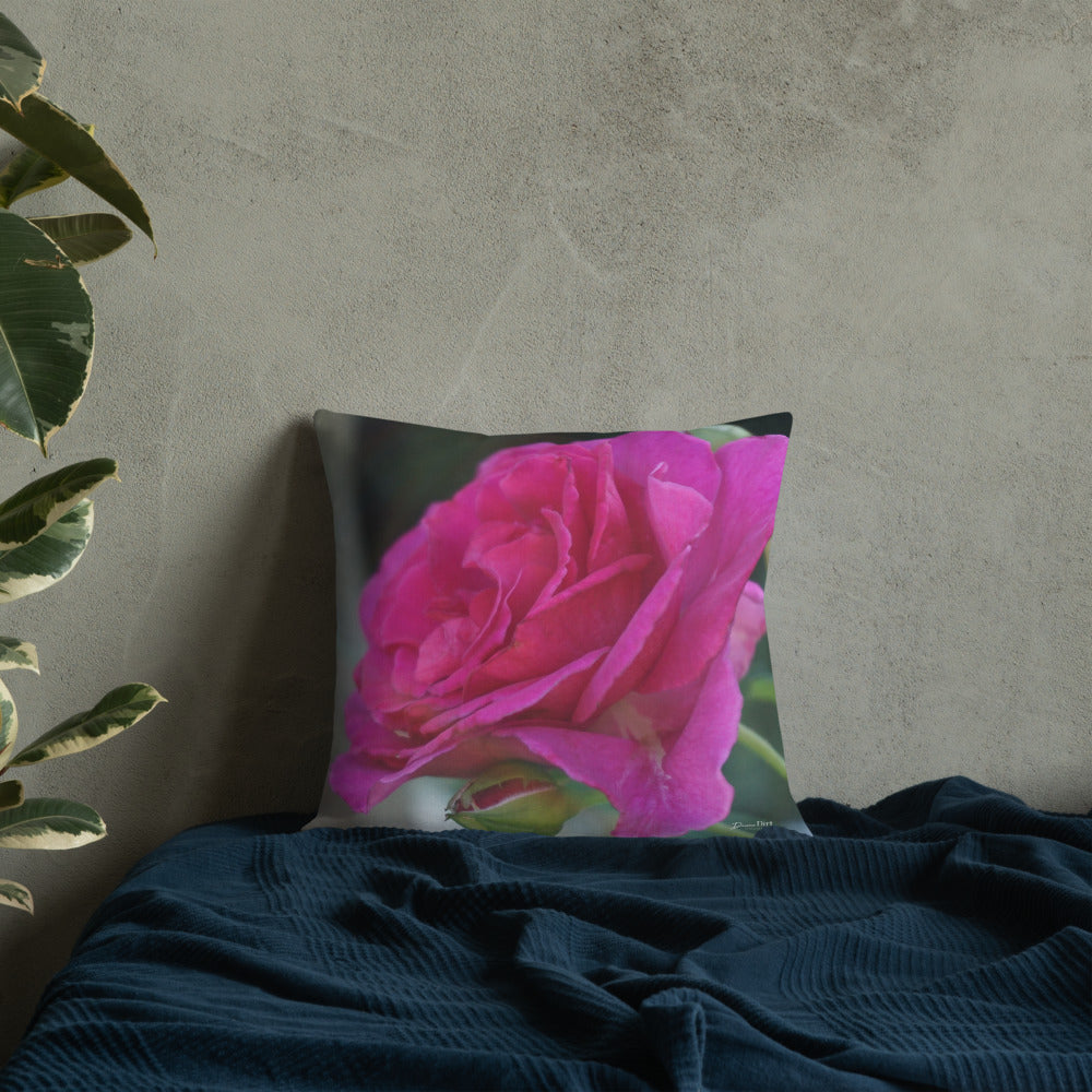 Belindabella Rose "Purple Prince" Premium Pillow-Light Grey back