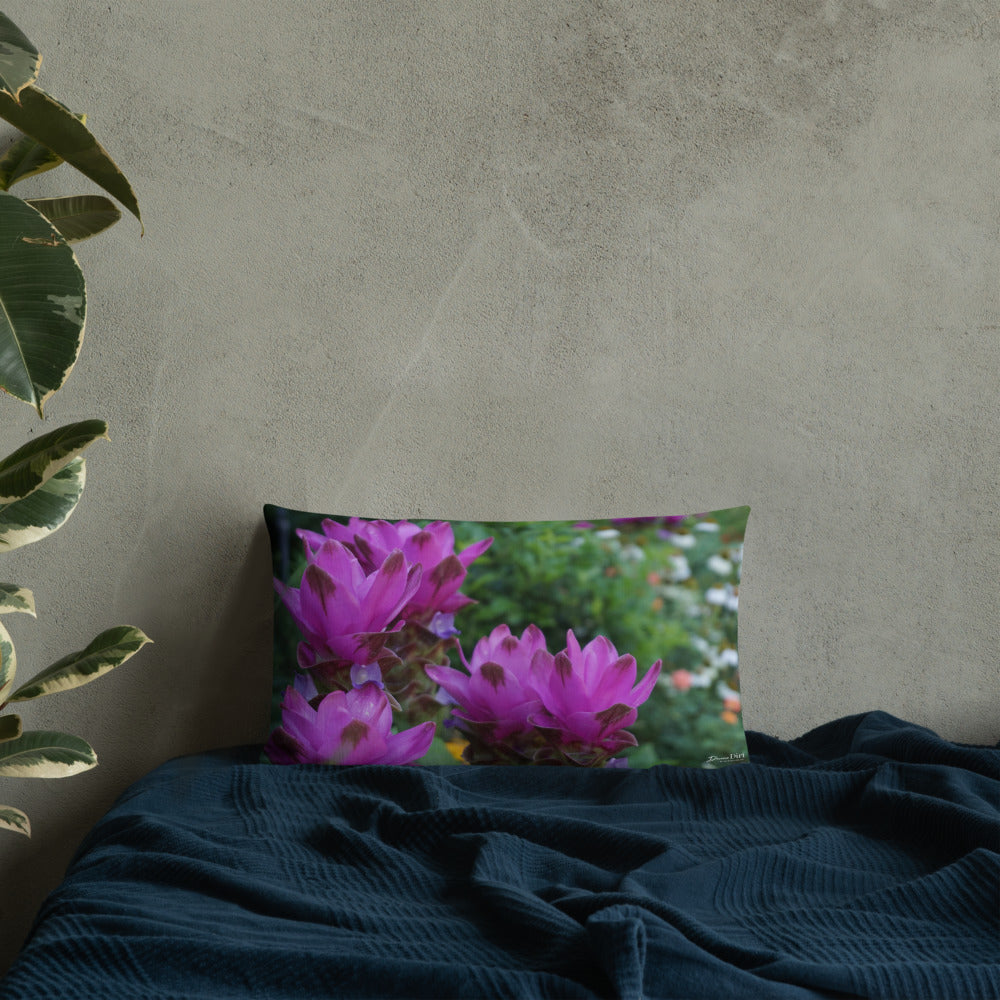 Pink Siam Tulips Premium Pillow with White Back