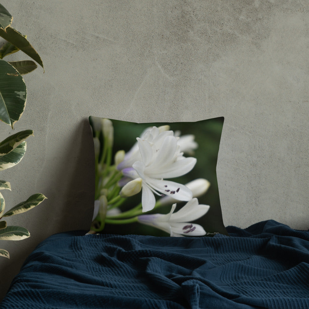 Agapanthus 'Indigo Frost' Premium Pillow with White Back