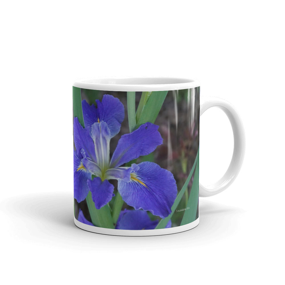 Purple Louisiana Iris. "Embody beliefs that serve you, others, and this world"