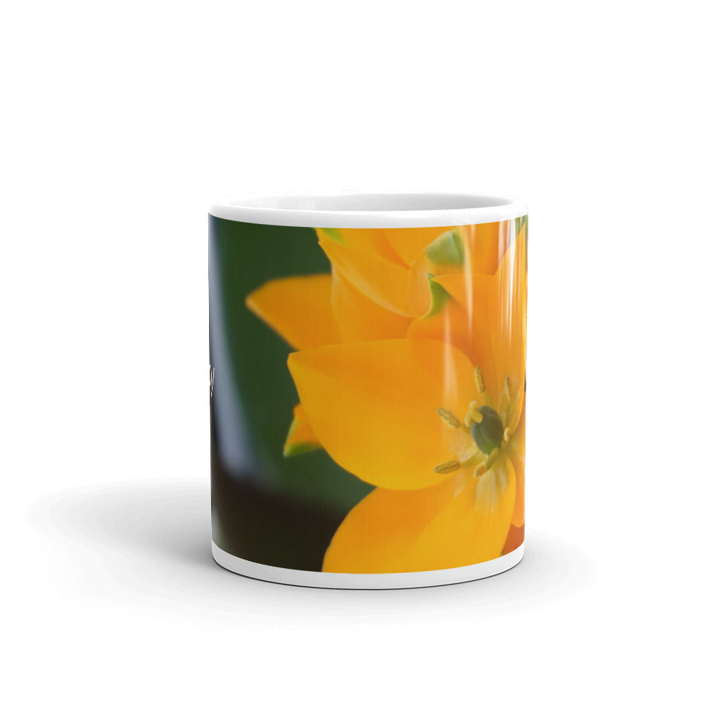 Orange Star "Joy"