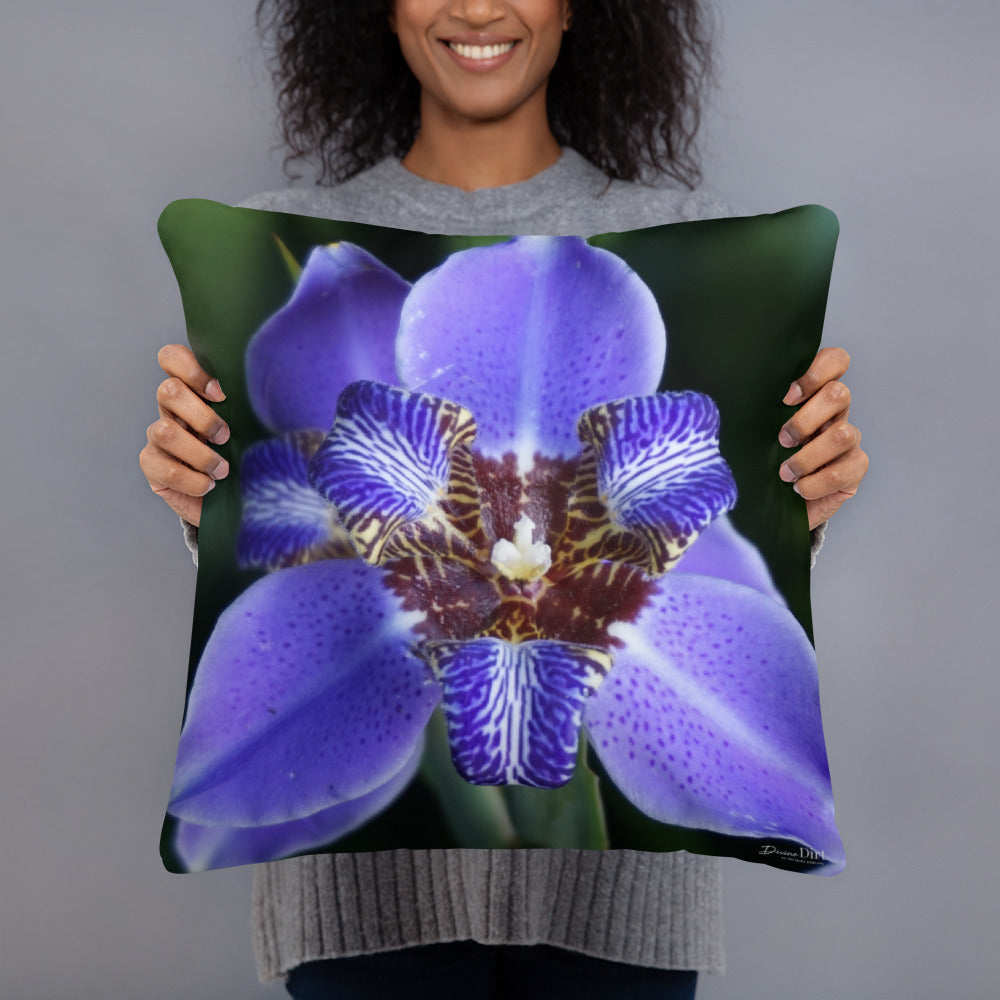 Brazilian Iris Standard Pillow with Light Grey Back