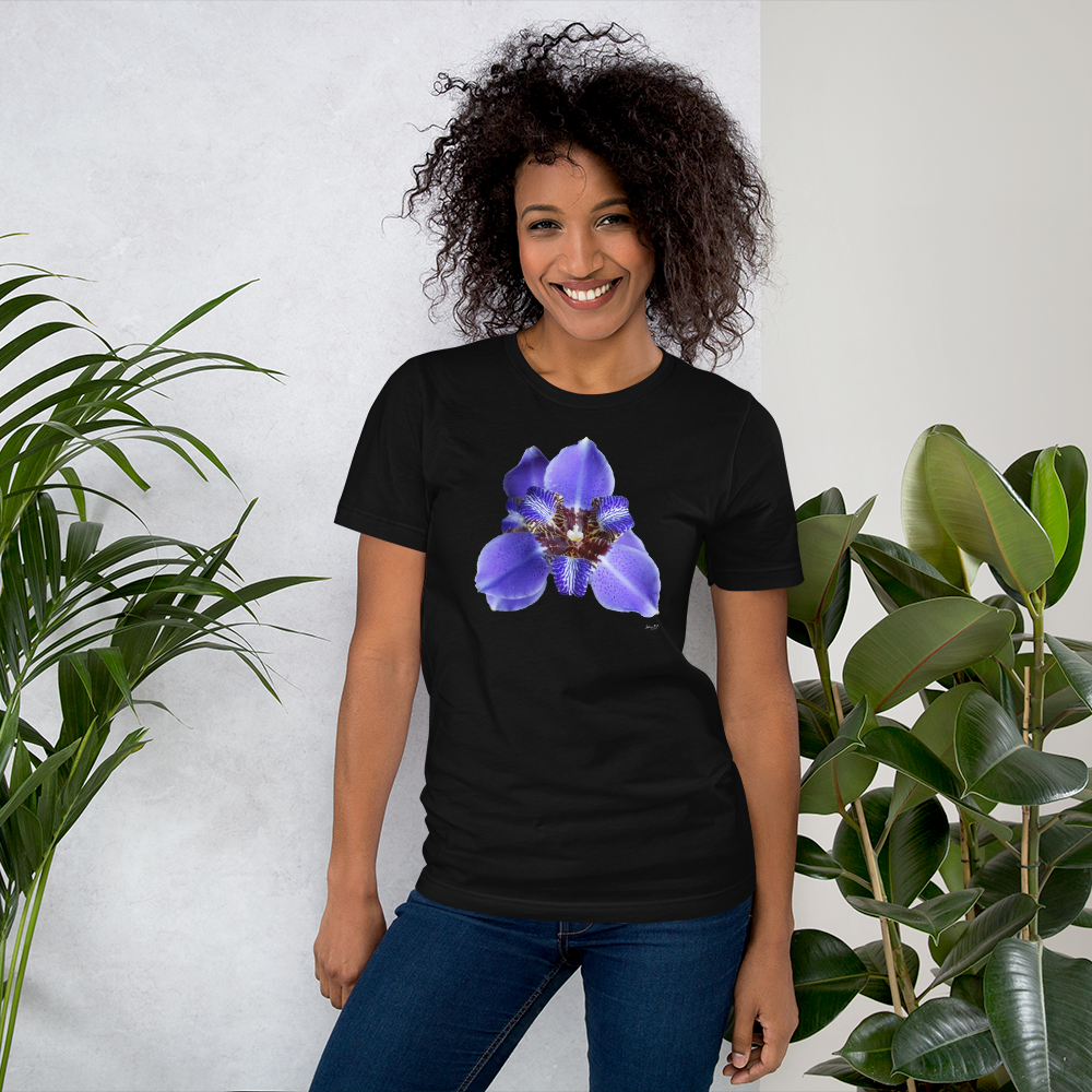 Brazilian Iris