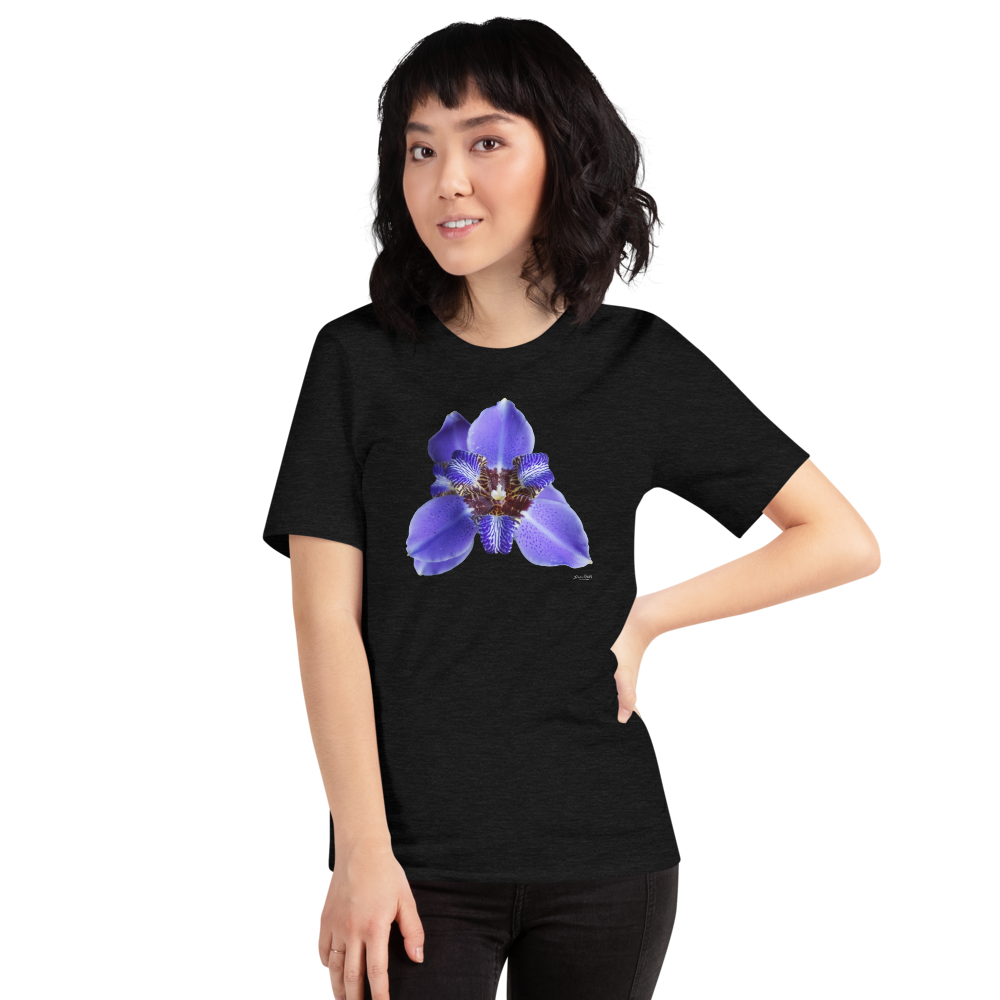 Brazilian Iris