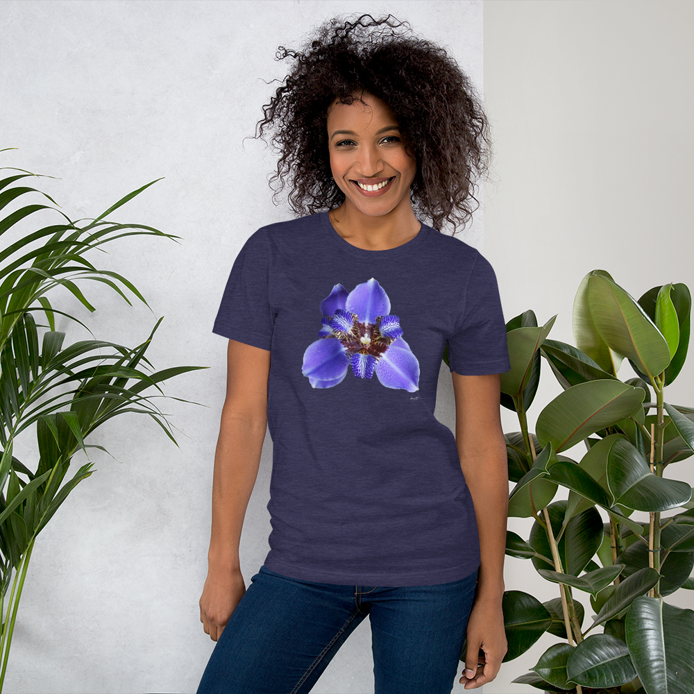 Brazilian Iris