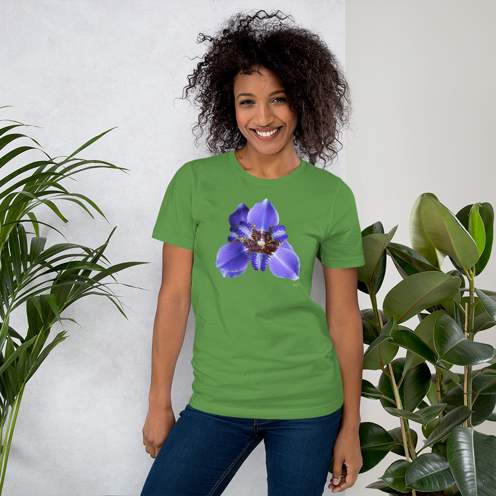 Brazilian Iris