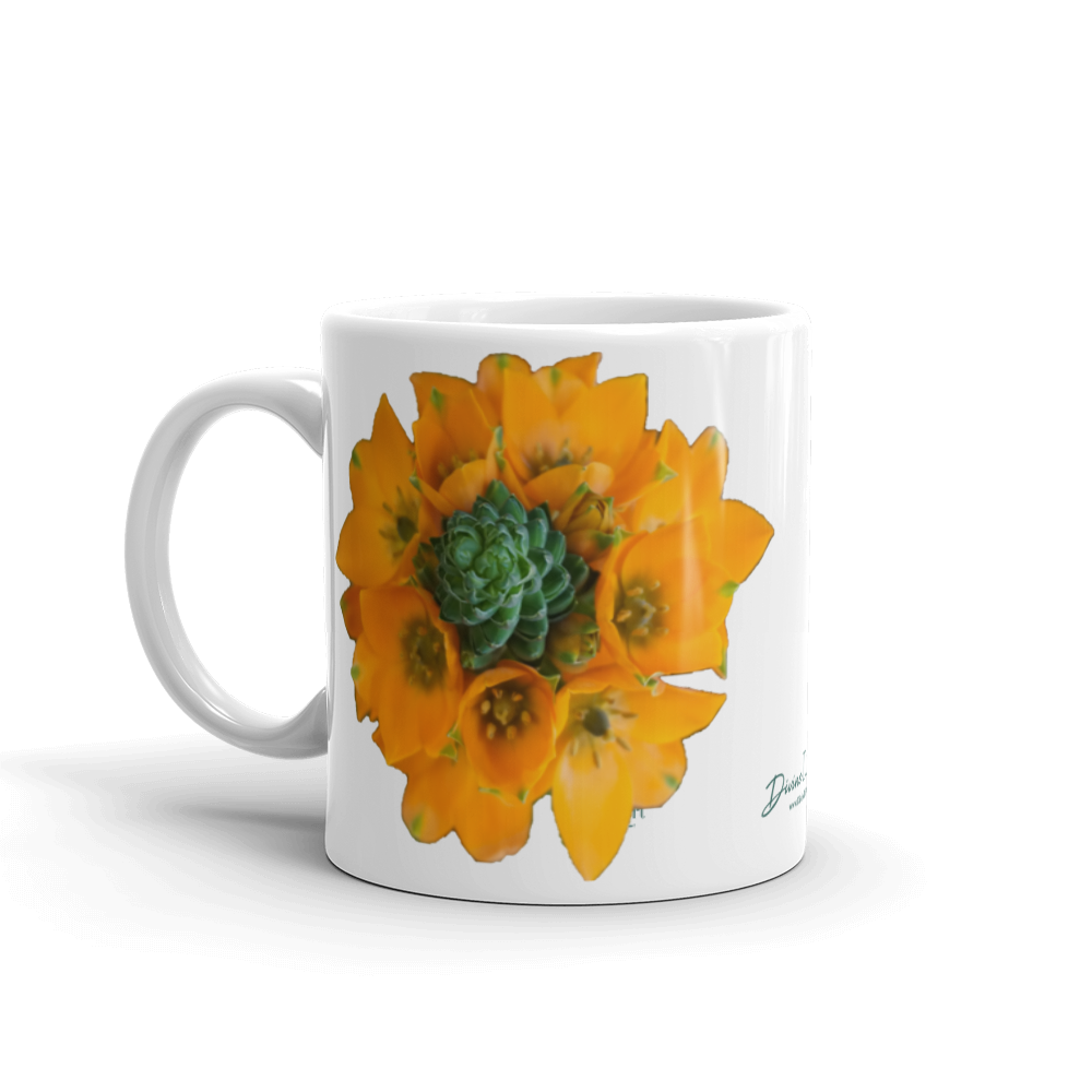Orange Star