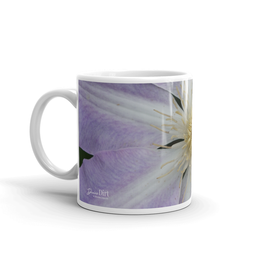Purple Clematis