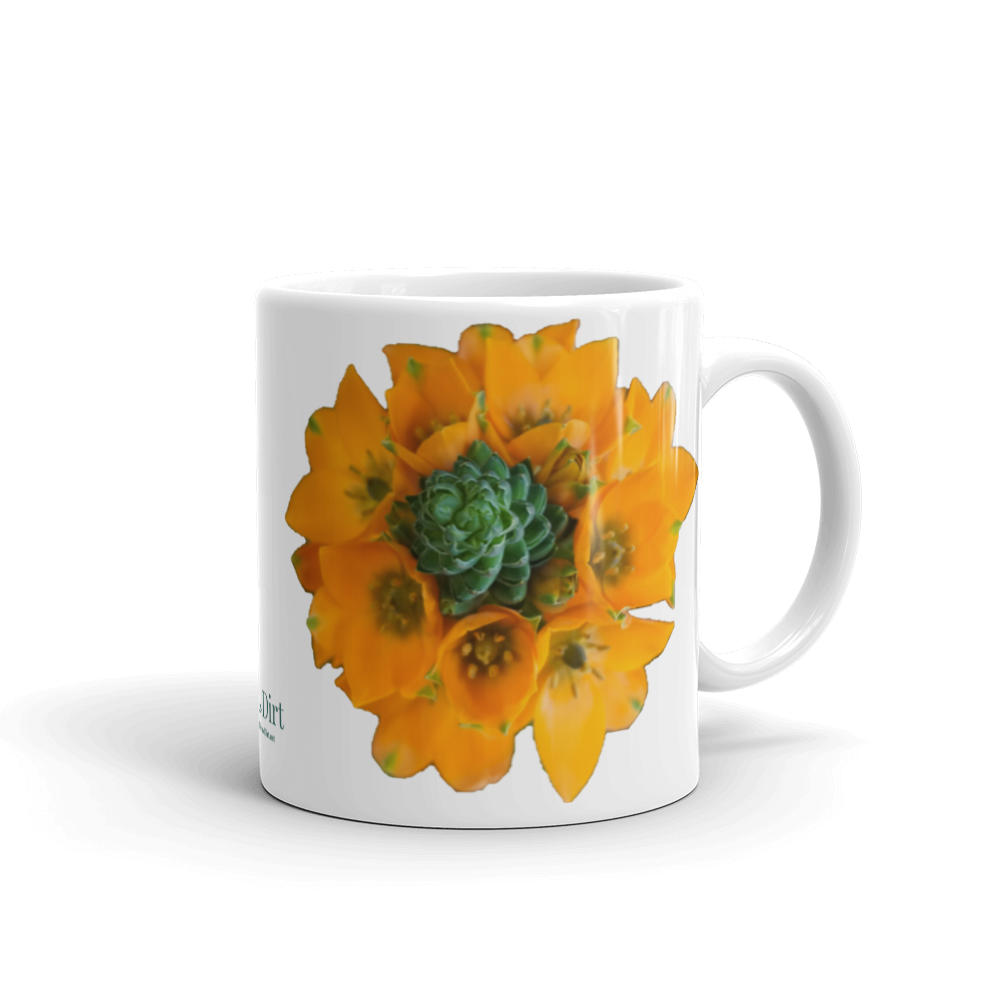 Orange Star