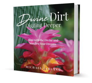 Divine Dirt Digging Deeper (Hard cover)
