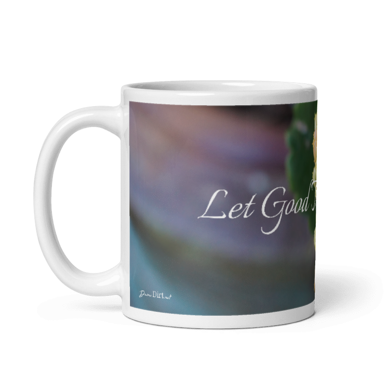 Kalanchoe_Let Good Thoughts Grow