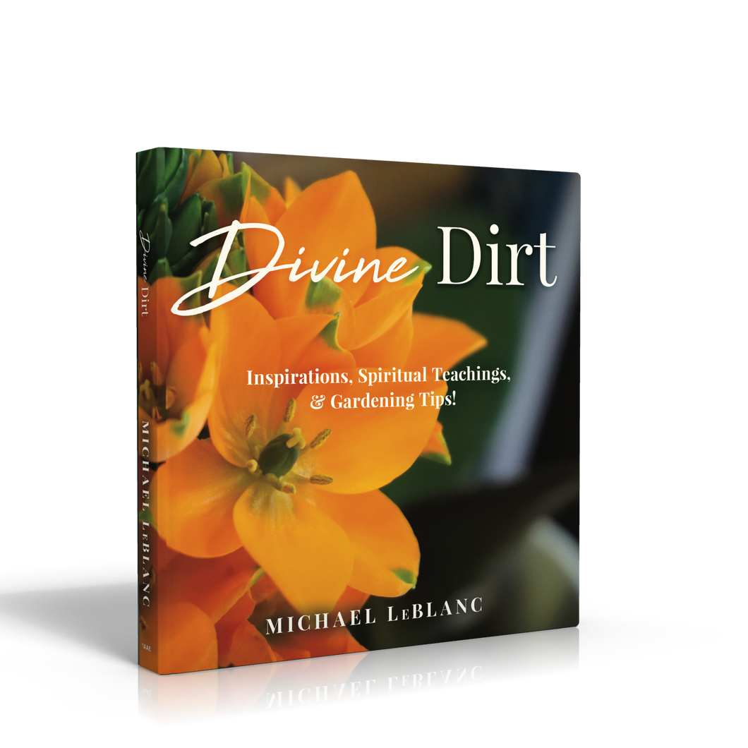 Divine Dirt (Soft Back)