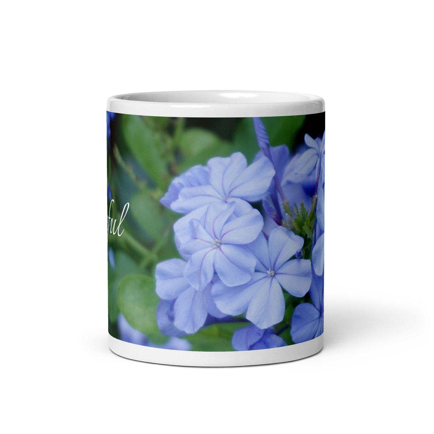 Blue Plumbago 'Grateful'