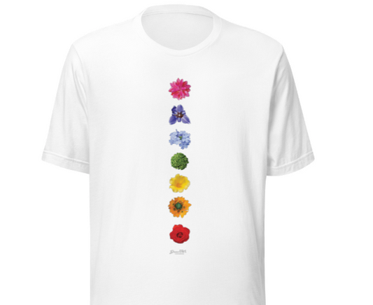 unisex Regular T-shirt Energy Centers _ Chakras