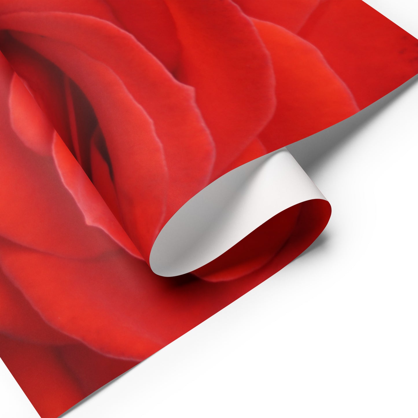 Red Rose Wrapping paper sheets