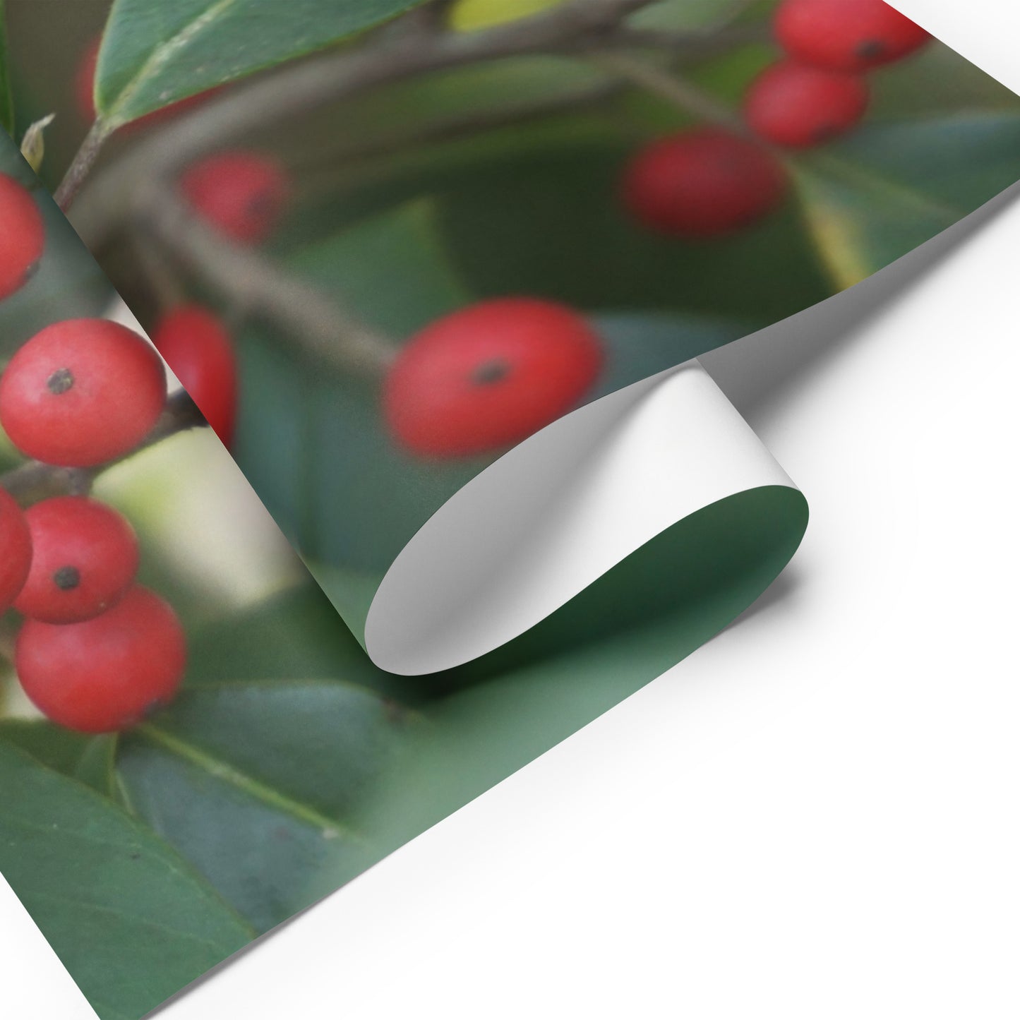 Holly Berries Wrapping paper sheets