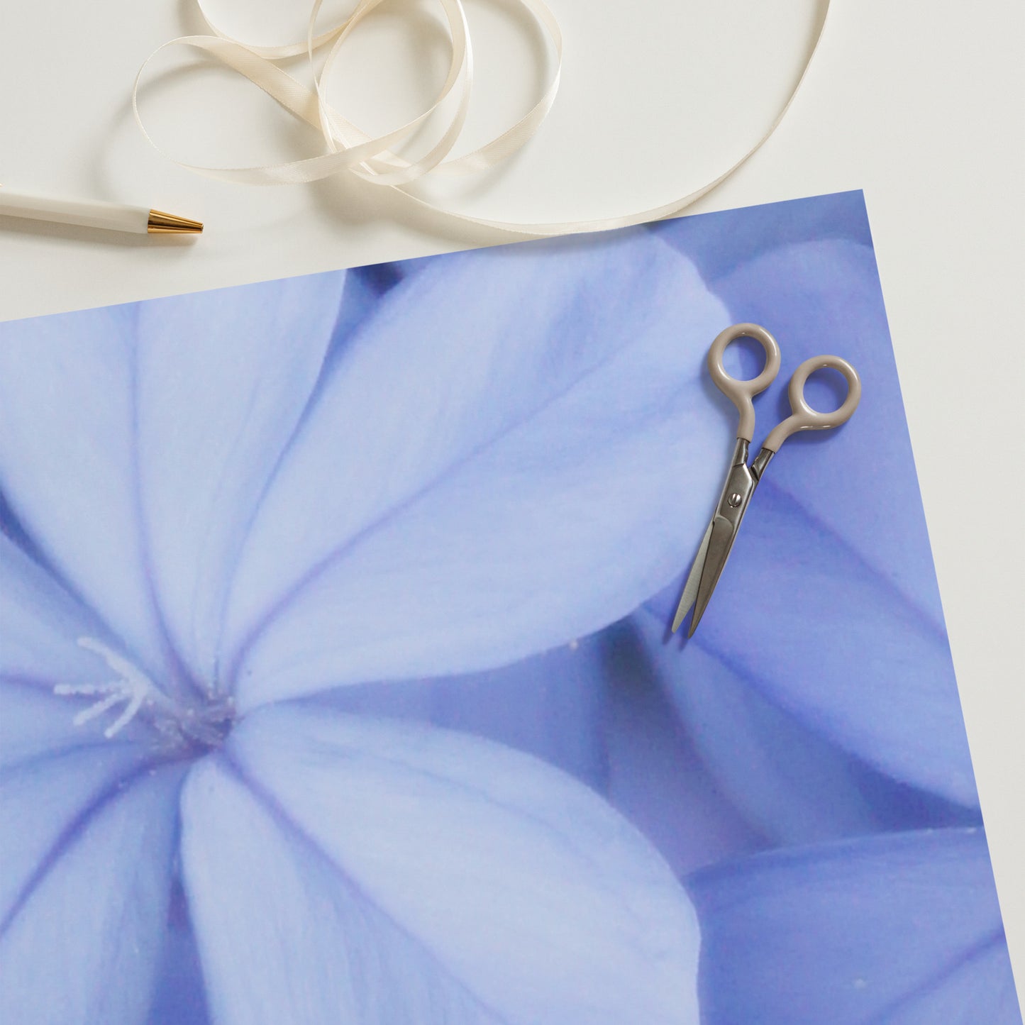 Blue Plumbago Wrapping paper sheets