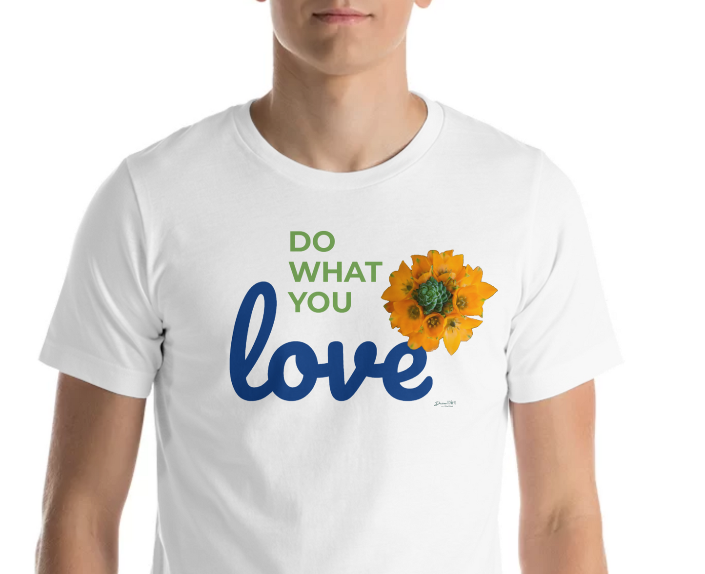 Do What You Love_Orange Star_lighter colors
