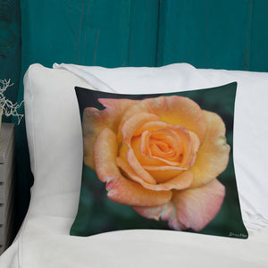 Orange Delight Rose Premium Pillow with White Back