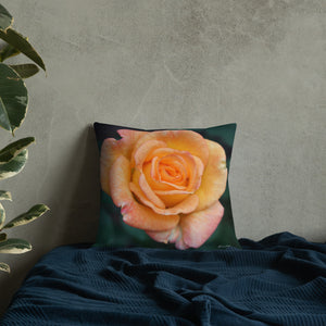 Orange Delight Rose Premium Pillow with White Back