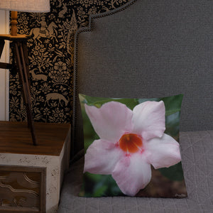 Pink Mandevilla Premium Pillow with Pink Back