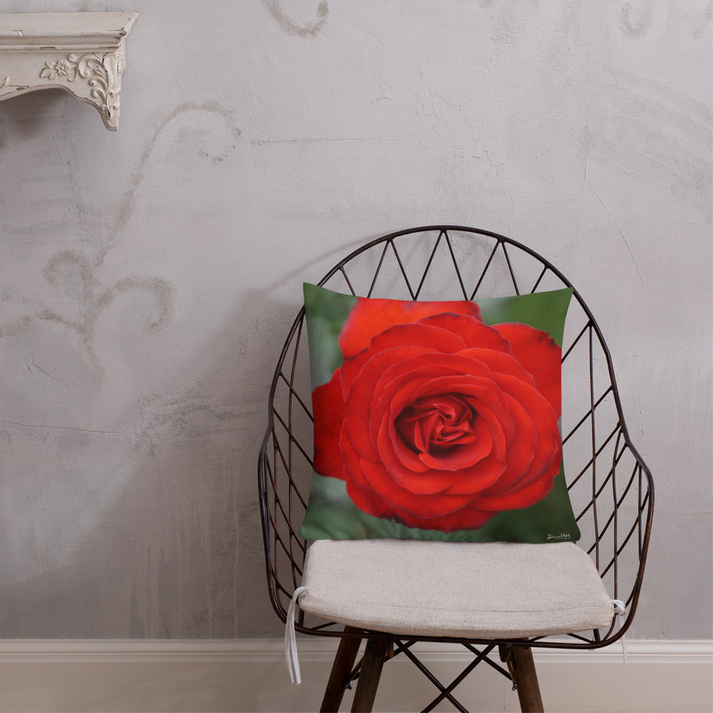 Red Rose Premium Pillow with White Back
