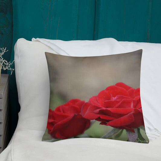 Red Rose Premium Pillow with White Back