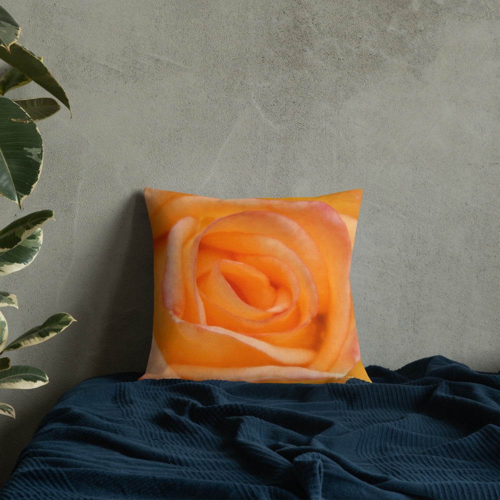 Rose Orange Delight Premium Pillow with White Back