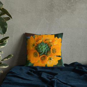 Orange Star Premium Pillow with Orange back