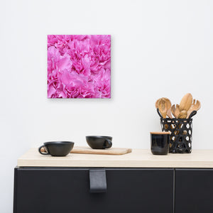 Pink Carnations Canvas
