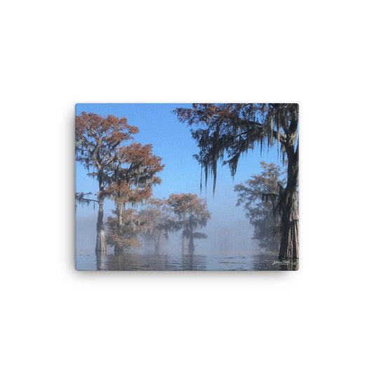 Into the Mist on the Atchafalaya.  12x16 Print on Canvas